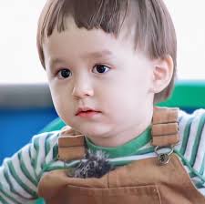  Cute Bentley Hammington Bayi Lucu Foto Anak Lucu Anak Lucu