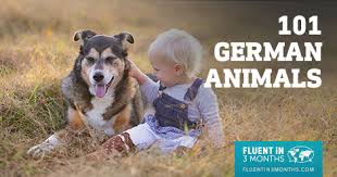 Take a journey to the edge of conventional science, the world of cryptozoology. 101 German Animal Names With English Translations