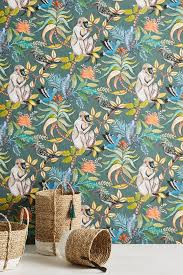 Canopy Creature Wallpaper With Images Funky Wallpaper Wallpaper Monkey Wallpaper