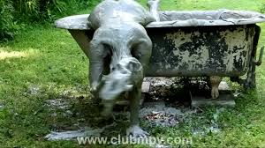 mpvkendrahotlatexinmuddvtrailer - XNXX.COM