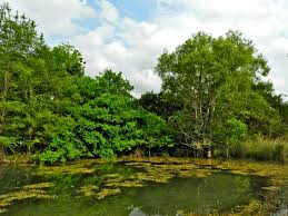 15 Reasons To Visit Boerne Texas A Wandering Web
