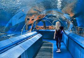 Кожен його будинок, квартал та провулок дихає історією. Okeanarium Lviv Cini Lvova