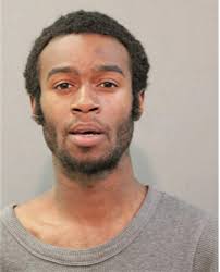 ᐅ Illinois Criminal Records 2009-2025