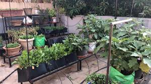 Chanel west coast nue The Ridiculousness alum, 34, recently