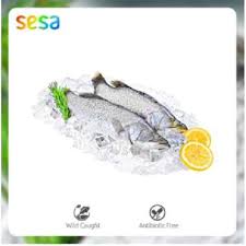 Asam folat memiliki manfaat untuk perkembangan otak bayi. Ikan Kakap Putih Harga Terbaru Mei 2021 Blibli