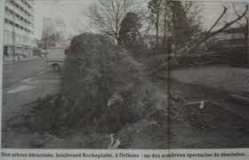 En haut d'un bouleau la branche a cass? Fin Decembre 1999 La Tempete Du Siecle