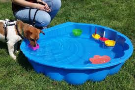 Ein gutes zuhause für alle zu finden ist aber nicht leicht. Spass Mit Hund Im Tv Wasserspiele Nicht Nur Fur Tierheim Hunde Spass Mit Hund