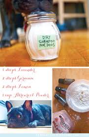 Dog Dry Shampoo Using Essential Oils Perfect For My Itchy French Bulldog Http Iamablog Andiamlisa Com With Images Dry Dog Shampoo Homemade Dog Shampoo Dog Shampoo