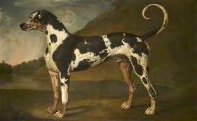 Artwork Replica A Harlequin Great Dane Called `Turpin`, 1778 by Thomas  Stringer (1722-1790)