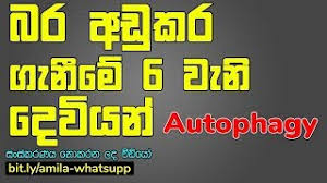 Sinhala Weight Loss Step 6 Autophagy In Sinhala Unedited Video Youtube