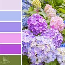 Lilac Color Palette Color Palette Color Blending Colour Pallete