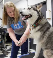 How to get a refund for westside family pet clinic? Grooming Pet Supply