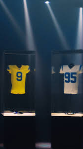Rams - Los Angeles - Instagram