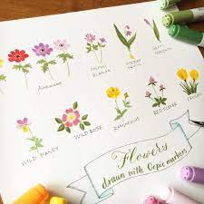 i tried to draw flowers with copic markers i realized that i need to buy bluish colors 下書き無し 手持ちのコピックだけで花を描く練習をしてみてます 何故か丁度いいブルーのコピック持ってない 花 イラスト 花のスケッチ 花を描く