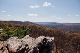 Metal detecting is not allowed. Pole Steeple In Photos Michaux State Forest Seth Nenstiel Photography State Forest Steeple Summer Getaway