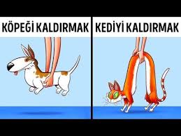 Kedi Ve Kopeklerin Farkli Dunyalardan Geldigini Kanitlayan 9 Sey Youtube 2020 Kedi Kopek Kopek Kedi