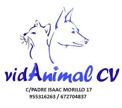 Clínica Veterinario Vidanimal