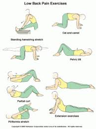 Pin On Yoga For Back Pain