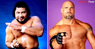 Image result for haku wrestler