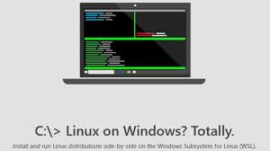 If running in version 1 mode, switch to version 2. Arch Linux Im Windows Subsystem For Linux Mit Vorsicht Zu Behandeln Heise Online