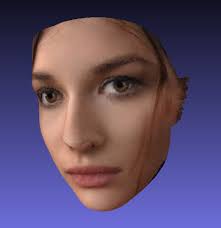 コード必要なし 2dの顔画像を3d化するpythonコード prnet console dot log 顔 画像 顔 3d モデル