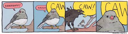 Annoyed Bird Know Your Meme
