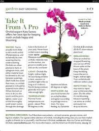How to take care of the orchid after pruning them? 12 Pruning Orchids Ideas Orchids Growing Orchids Orchid Care