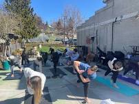 Yoga + Wine at Vibe Cellars!