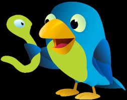 Birds For Sale In Florida Florida Early Bird Ce Sale At Pdresources Buy 2 Courses Get 1 Free Special Continuing Education Special Stuff To Buy