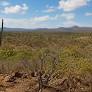 Brazil Enacts Law Establishing National Policy for Caatinga Biome Recovery