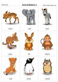 Pin On Flashcards