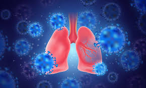 These trends are updated daily and are presented by report date. Drug Protects Against Covid 19 Inflammation In Pre Clinical Trials