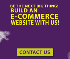 How to build a website with python. How To Use Python To Make Websites Probytes