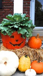 We did not find results for: Front Porch Outdoor Decor For Fall Hello Chili Peppers Making Lemonade