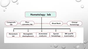 what is the role of hematologists ppt download