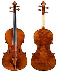 Image result for Viola eminii
