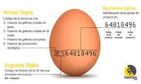 Cuantos Huevos Se Pueden Comer Evidencia Cientifica