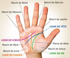 Chiromancie Votre Destin Est Entre Vos Mains Lignes De La Main Chiromancie Lecture Paume