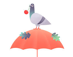 Illustrated alphabet book with slipcase. The Smashing Book 4 Hard Cover On Behance