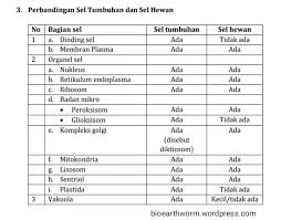 Sel tumbuhan hanya memiliki satu vakuola yang besar dan menempati 90 persen dari volume sel. Perbedaan Sel Tumbuhan Dan Sel Hewan Bioearthworm