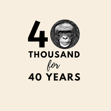 You might as well enjoy it while you can. Kanzi S 40th Birthday Ape Initiative