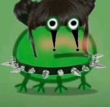 Ranita De La Sailor Frog Meme Amazing Frog Cute Frogs