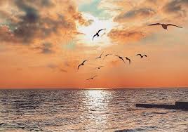 Погода в місті одеса на сьогодні, завтра і тиждень. Kakaya Budet Pogoda V Odesse 19 Po 23 Aprelya 2021 Odessa Vgorode Ua