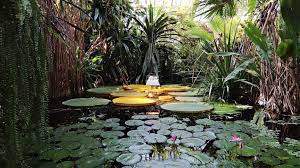 Plan your palmiarnia poznanska (palmenhaus poznan) visit and explore what else you can see and do in poznan using our poznan online trip maker. Palmiarnia Poznanska Ponownie Otwarta Aktualnosci Info Poznan Pl
