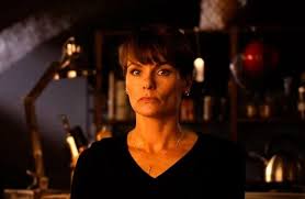 Dit programma vervangt Flikken Maastricht op NPO1