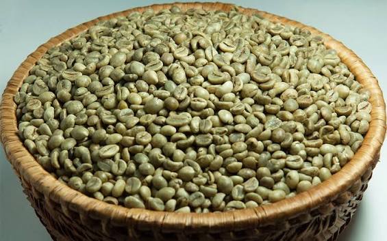 SẢN PHẨM CÀ PHÊ ROBUSTA CHẾ BIẾN KHÔ R1, SÀNG 16 ĐÁNH BÓNG ƯỚT