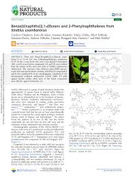 Image result for Streblus usambarensis