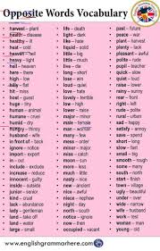 Pin By Bellapoema On Knowledge In 2020 Learn English Words English Vocabulary Words English Vocabulary