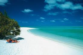 Heron Island Resort Australia Beach Island Travel Island Resort