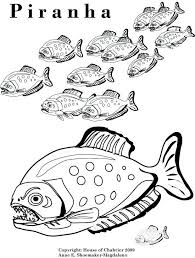 Pin On Fish